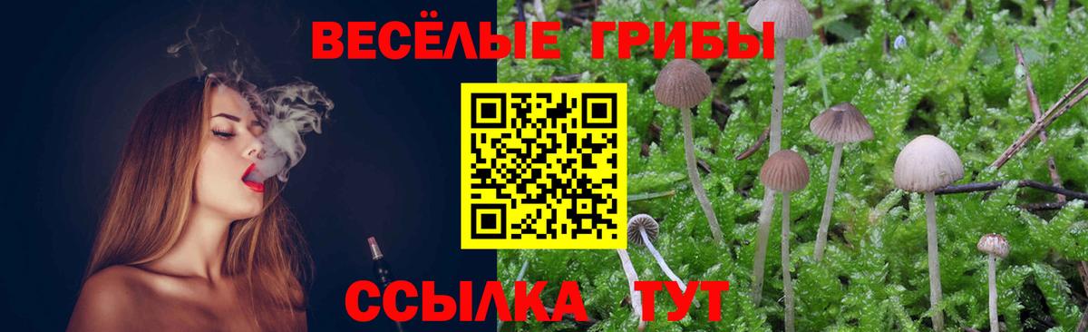 Тихорецк  Псилоцибиновые грибы мухоморы  Вход с VPN 